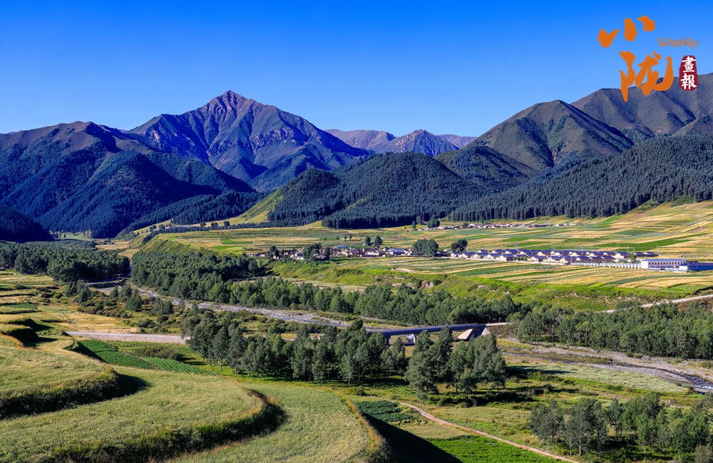 天祝哈溪 白雪綠林同框 冬日浪漫如畫(huà)境