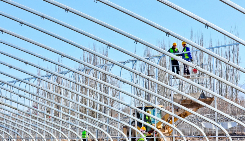 高臺(tái)：冬日設(shè)施蔬菜產(chǎn)業(yè)基地建設(shè)忙